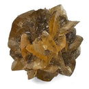 Golden Duck Bill Selenite - Specimen
