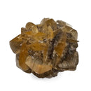 Golden Duck Bill Selenite - Specimen