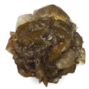 Golden Duck Bill Selenite - Specimen