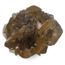 Golden Duck Bill Selenite - Specimen