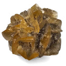 Golden Duck Bill Selenite - Specimen