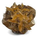 Golden Duck Bill Selenite - Specimen