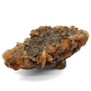 Golden Duck Bill Selenite - Specimen