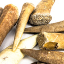 Enchodus (Sabertooth Herring) Tooth - Fossil