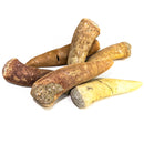 Enchodus (Sabertooth Herring) Tooth - Fossil