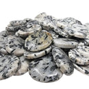 Epidote in Quartz - Worry Stone