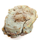 Ethiopian Opal - Specimen