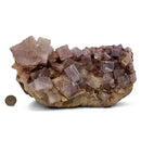 Purple Fluorite - Specimen