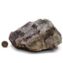 Pyrite and Quartz on Purple Fluorite - Specimen