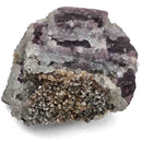 Pyrite and Quartz on Purple Fluorite - Specimen