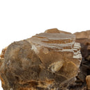 Fluorite - Specimen