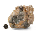 Flower Amethyst - Specimen