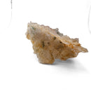 Flower Amethyst - Specimen