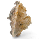 Flower Amethyst - Specimen