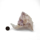 Flower Amethyst - Specimen