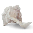 Flower Amethyst - Specimen