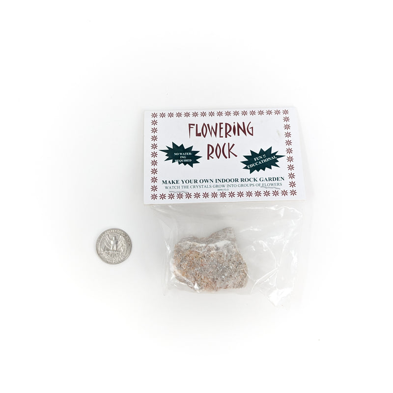 Flowering Rock (Dolomite) - Experiment