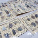 Fluorescent Mineral - Education Set - Global