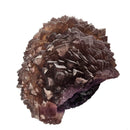 Purple Fluorite - Specimen