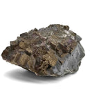 Chalcopyrite & Pyrite on Green Fluorite - Specimen