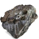 Chalcopyrite & Pyrite on Green Fluorite - Specimen