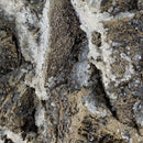 Fluorite w Pyrite - One of a Kind - Statement