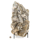 Fluorite w Pyrite - One of a Kind - Statement