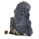 Black Amethyst - Specimen