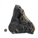 Black Amethyst - Specimen