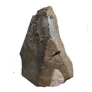 Black Amethyst - Specimen