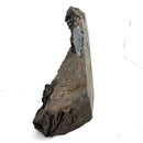 Black Amethyst - Specimen