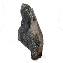 Black Amethyst - Specimen