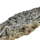 Belemnite Plate - Fossil Specimen