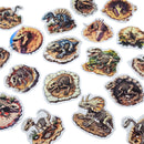 Fossil - Stickers - dinosaur - jurassic park