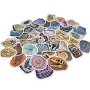 Fossil - Stickers - dinosaur - jurassic park