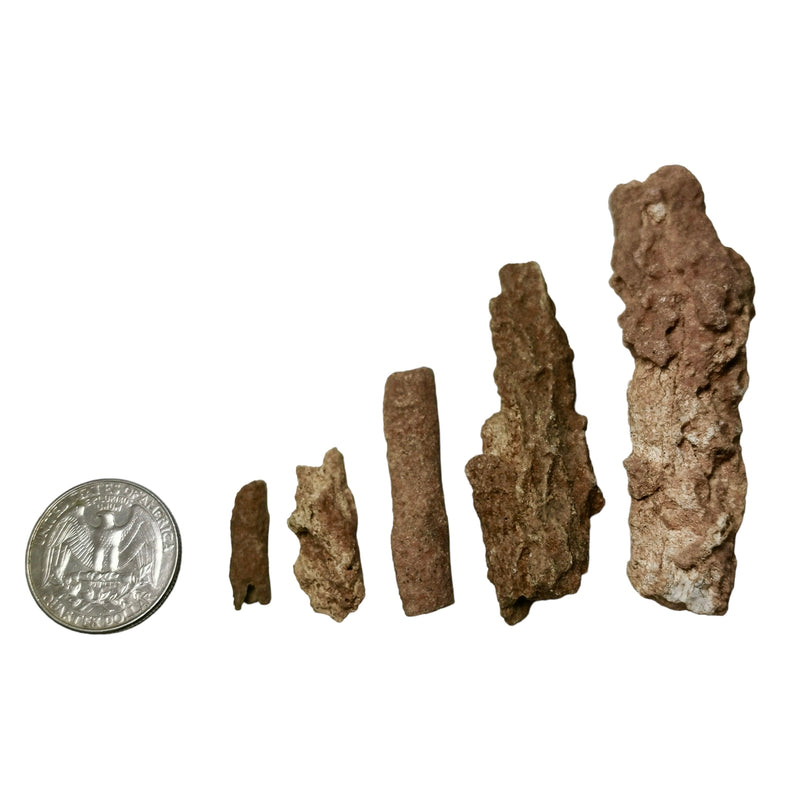 Fulgurite (Lightning Strike) - Mineral