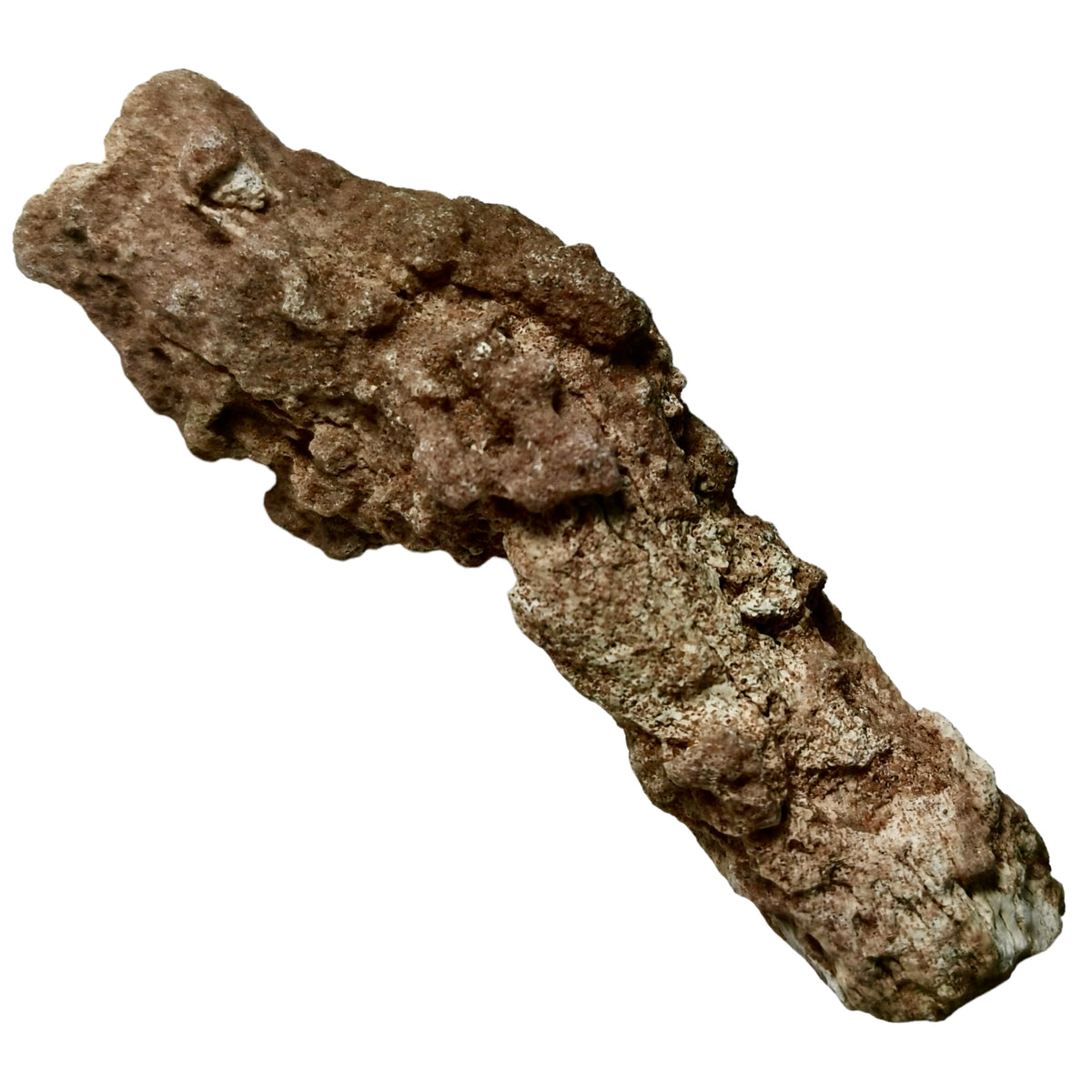 Fulgurite from the Sahara, Morocco – single tube, close view