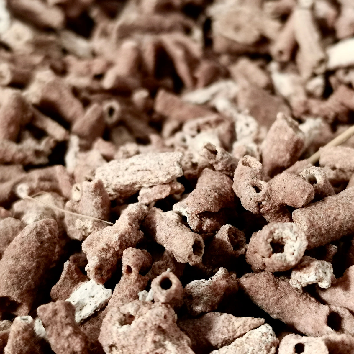 Fulgurite from the Sahara, Morocco – close-up of many tubes