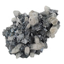 Galena with Quartz - Specimen