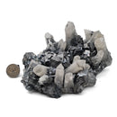 Galena with Quartz - Specimen