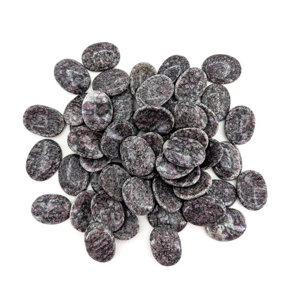 Garnet in Schist - Worry Stone