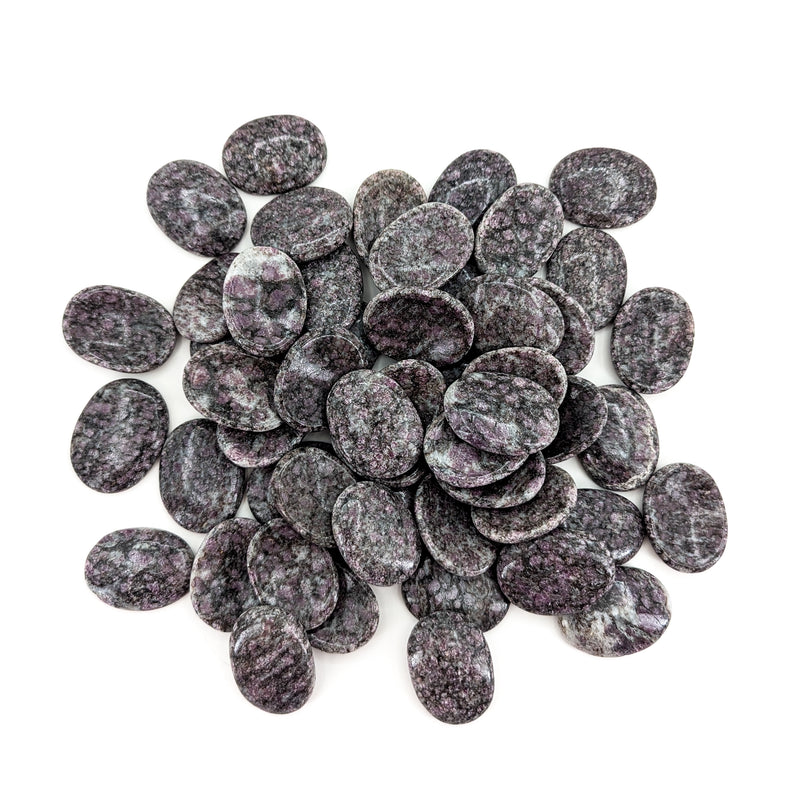 Garnet in Schist - Worry Stone