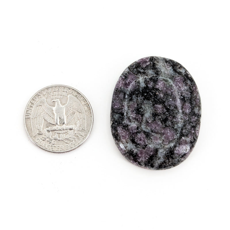 Garnet in Schist - Worry Stone