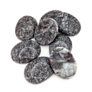 Garnet in Schist - Worry Stone