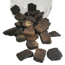 Giant Armadillo Scutes - Fossil