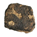 Giant Armadillo Scutes - Fossil