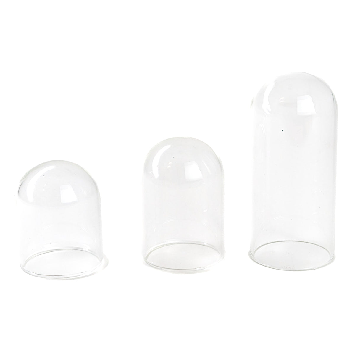 Glass Bell Jar display.