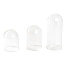 Glass Bell Jar - Display