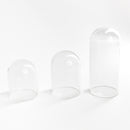 Glass Bell Jar - Display