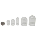 Glass Bell Jar - Display